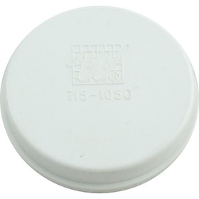 Waterway Plastics 715-9900 Bypass Plug, WW In-Line/Top Load/Top Mount/Front Access, 2"