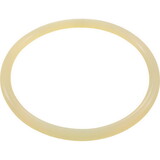 Astral Products, Inc. 7401700120 O-Ring, Buna-N, Astral Aster Filter, Lid