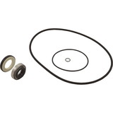 Hayward HCXP6004A O-Ring/Gasket Kit, HCP