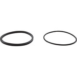 Jandy/Laars/Zodiac R0449100 Trap Lid Seal, Zodiac Jandy PHPF, with O-Ring