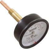 Raypak 007205F Temperature and Pressure Gauge, Heaters, 1/2