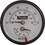 Raypak 007205F Temperature and Pressure Gauge, Heaters, 1/2", Bottom