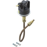 Raypak 003651F Pressure Switch, 53A, with Tubing