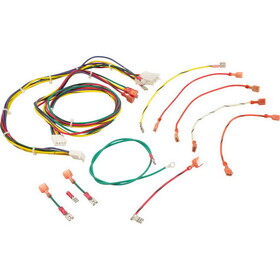 Raypak 005270F Wire Harness, RP2100, R185-R405, IID