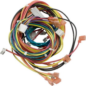 Raypak 009490F Wire Harness, R185B/206A, IID