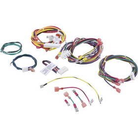 Raypak 010347F Wire Harness, 207A