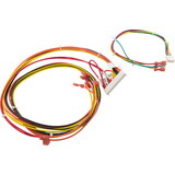 Raypak 014885F Wire Harness, 156A, Digital