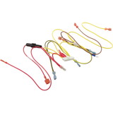 Jandy/Laars/Zodiac R0457700 Wire Harness, Zodiac Jandy Lxi, Control