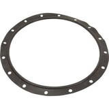 Astral Products, Inc. 723R4140120 Gasket, Lid, Astral, Vert Filters 47