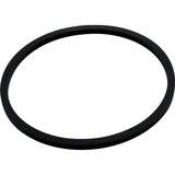 Generic Gasket, Trap Lid, StaRite, JS/LT Replacement