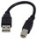 IEC M24040-.5 USB Type A to Type B Jumper Cable 6 inch (USB 2.0 Compliant) Black, Price/each