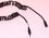 IEC M7412C-10 3.5mm Stereo Coiled Extension Cable 10', Price/each