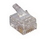 IEC MP06M RJ11 6 Position Modular Plug for Stranded Wire, Price/each