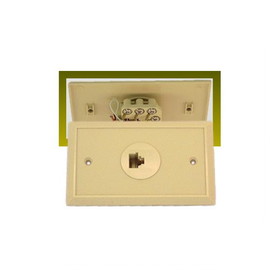 IEC RJ4508-WP1 Wall Plate with 1 RJ4508 Connector