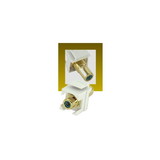IEC RJRCAGF-F-WH-G Green RCA Female to Female Connector with Gold Contacts on White Keystone