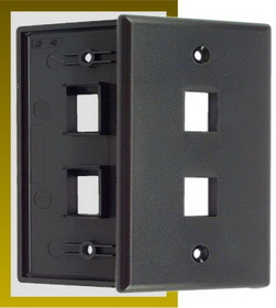 IEC WB10802 Black Plastic Wall Plate with 2 Cutout for a Keystone Insert