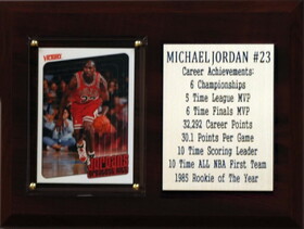 C & I Collectables NBA 6"X8" Michael Jordan Chicago Bulls Career Stat Plaque
