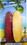 A&E Cage Company Captain Cuttlebone Flavored Cuttlebone 6" Long, 2 count, AE9008