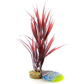 Blue Ribbon Sword Plant with Gravel Base - Red, 10" Tall, CB2012RD