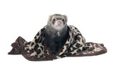 Marshall Designer Fleece Blanket for Small Animals, 1 count , FP-112