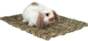 Marshall Peters Woven Grass Mat for Small Animals, 1 count, RGP-529