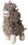 Spot Yo Llama Plush Dog Toy Assorted Colors, 1 count, 54607