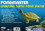 Pondmaster Resin Turtle Spitter, 9"L x 3.6"W x 5.6"H, 3775