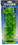 Marina Aquascaper Moneywort Plant, 12" Tall, PP1216