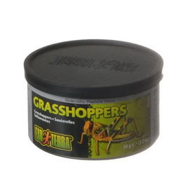 Exo Terra Grasshoppers Reptile Food, 1.2 oz (34 g), PT1950