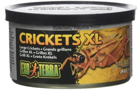 Exo Terra Canned Crickets XL Specialty Reptile Food, 1.2 oz, PT1962