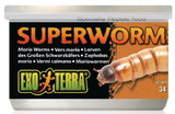 Exo Terra Canned Superworms Specialty Reptile Food, 1.2 oz, PT1964