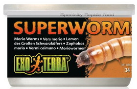 Exo Terra Canned Superworms Specialty Reptile Food, 1.2 oz, PT1964