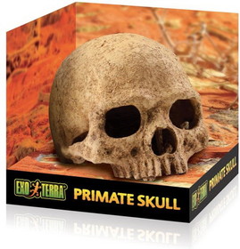 Exo Terra Terrarium Primate Skull Decoration, 1 count, PT2855