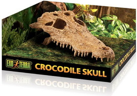 Exo Terra Terrarium Crocodile Skull Decoration, 1 count, PT2856