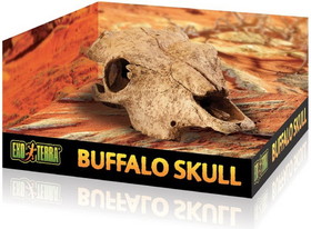 Exo Terra Terrarium Buffalo Skull Decoration, 1 count, PT2857