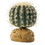Exo Terra Desert Barrel Cactus Terrarium Plant, Small - 1 Pack, PT2980