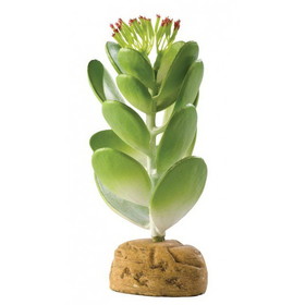 Exo Terra Desert Jade Cactus Terrarium Plant, 1 Pack, PT2984