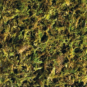 Exo Terra Forest Moss Tropical Terrarium Reptile Substrate, 7 qt - 2 count, PT3095