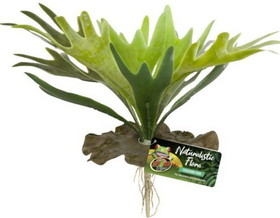 Zoo Med Naturalistic Flora Staghorn Fern, 1 count, BU-65