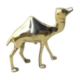 India Overseas Trading BR 6081 Camel 3