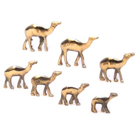 India Overseas Trading BR 9826 Solid Brass Mini Camel Set 7