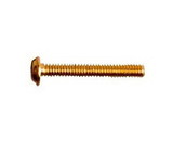 OptiSource 33-R122510G01 1.2 x 10.0 x 2.5 Gold Phillips Trim Screw (pack of 50)