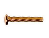 OptiSource 33-R142510G03 1.4 x 10.0 x 2.5 Gold Rimless Hex Head Trim Screw (pack of 50)