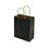 OptiSource 99-395-0410 NON-IMPRINTED BLACK Kraft Bags - Small 6.5 W x 3.25 D x 8" H (100/box)