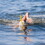 FINIS 1.05.009.48 Original Swimmer's Snorkel Junior