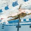 FINIS 1.05.110.106 Swim Parachute Navy 12 Inch