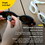 FINIS 1.30.081 Smart Goggle Max Kit - Orange Mirror/Black