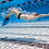 FINIS 1.35.005.07 Trainer 1 | Xl, Swim Training Monofin