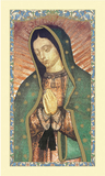 Ambrosiana 800-4270 Our Lady Of Guadalupe Laminated Holy Card - 25/Pk