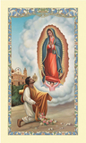 Ambrosiana 800-5680 Saint Juan Diego Laminated Holy Card
